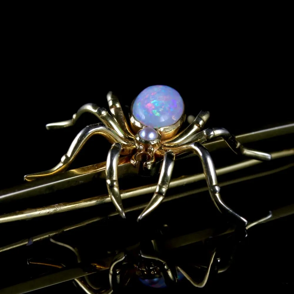 Antique Victorian Spider Brooch 15Ct Gold Circa 1900