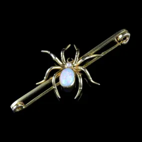 Antique Victorian Spider Brooch 15Ct Gold Circa 1900