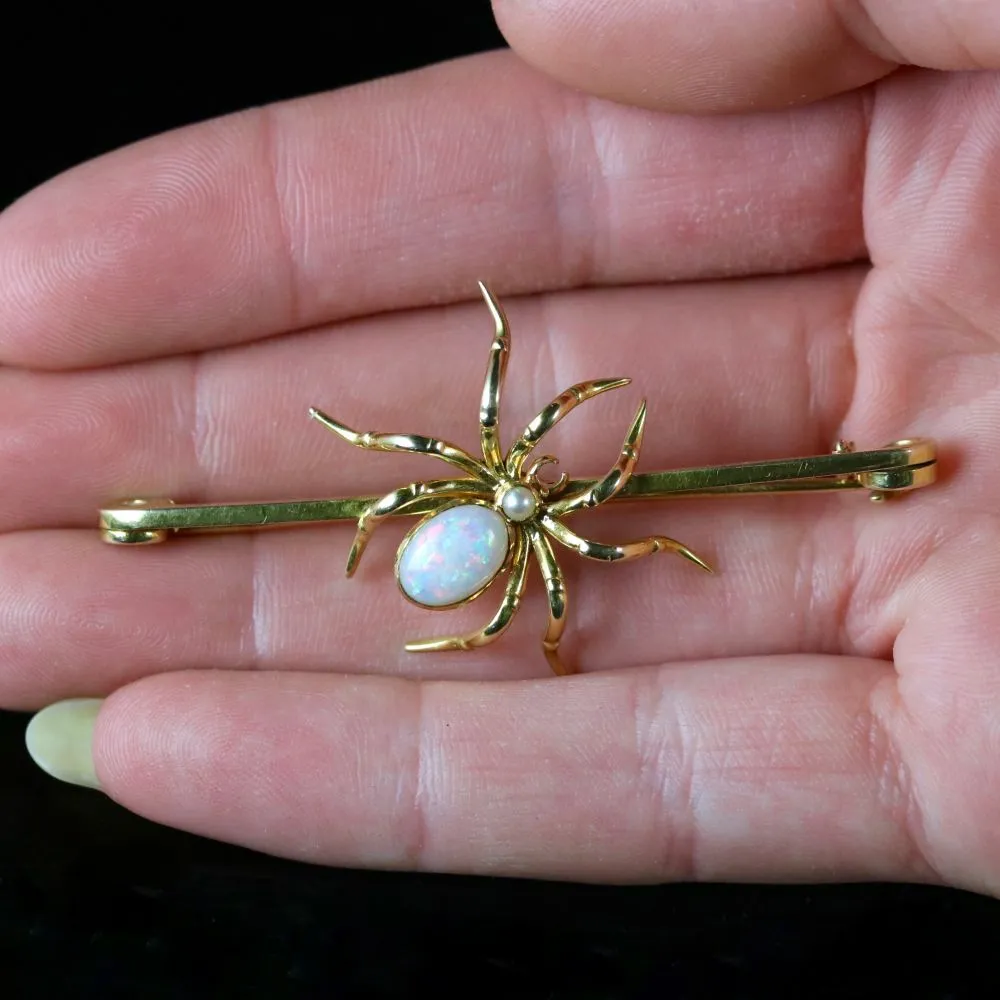 Antique Victorian Spider Brooch 15Ct Gold Circa 1900