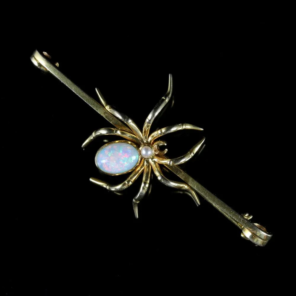 Antique Victorian Spider Brooch 15Ct Gold Circa 1900