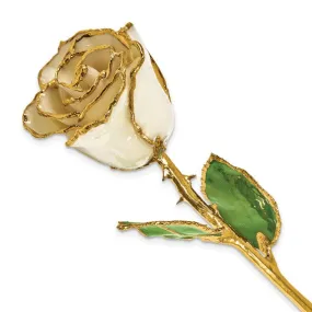 Birthstone Diamond Opal Colored Rose for April with Gold Trim