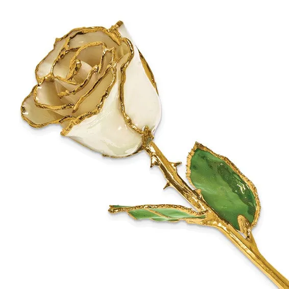 Birthstone Diamond Opal Colored Rose for April with Gold Trim