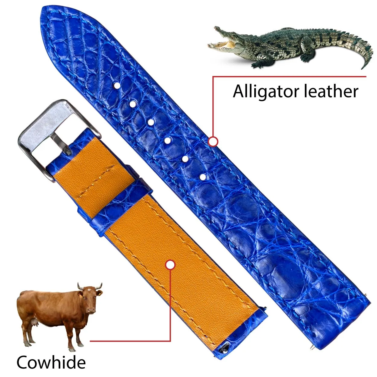 Blue Flat Alligator Leather Watch Band | No-Padding Crocodile Skin Replacement Watch Strap | DH-25