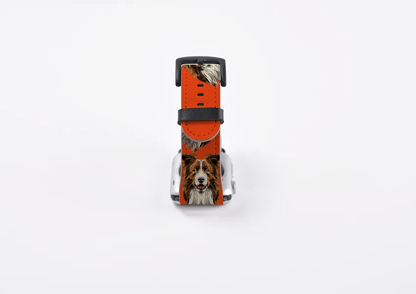 Border Collie Orange Apple Watch Strap