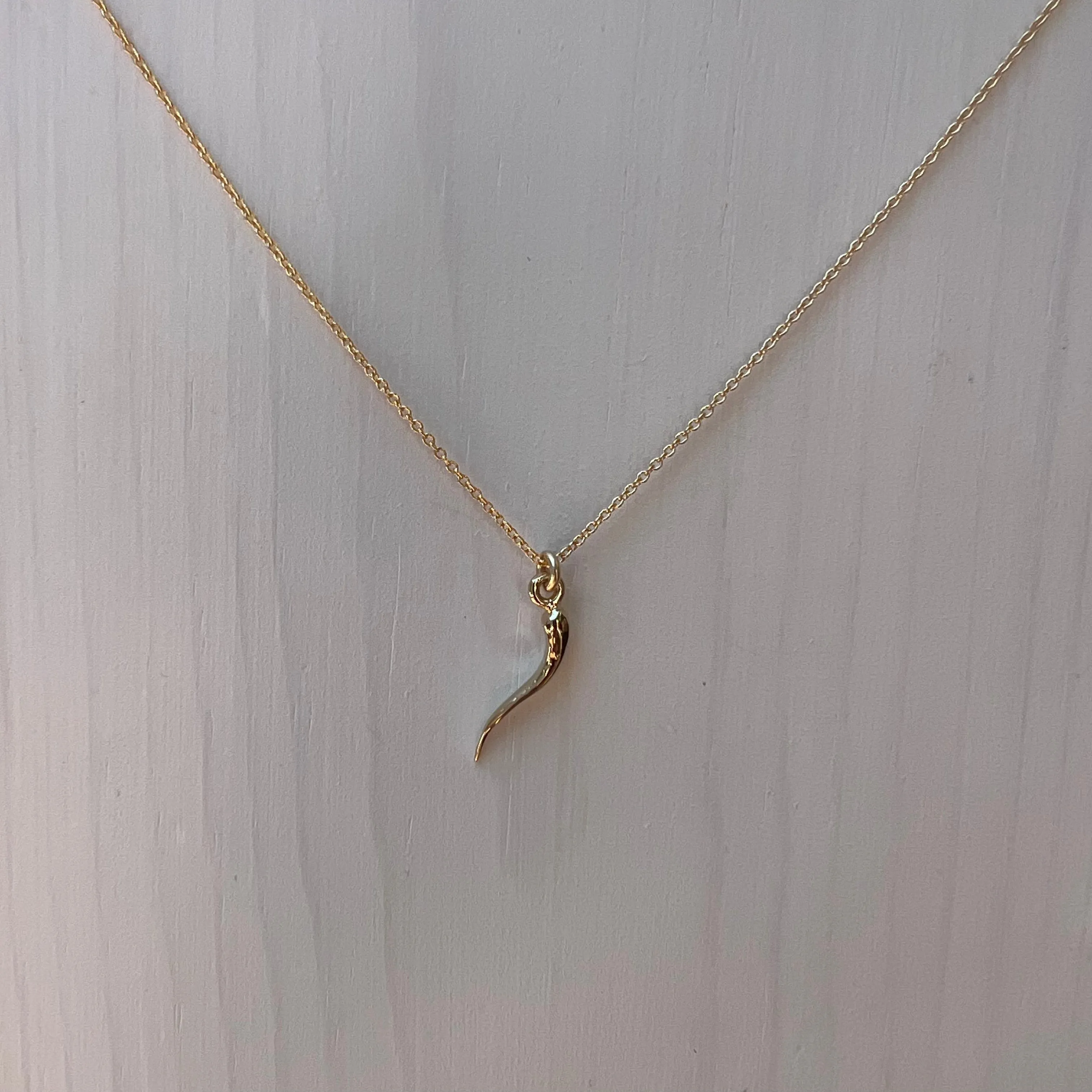 Italian Horn Necklace