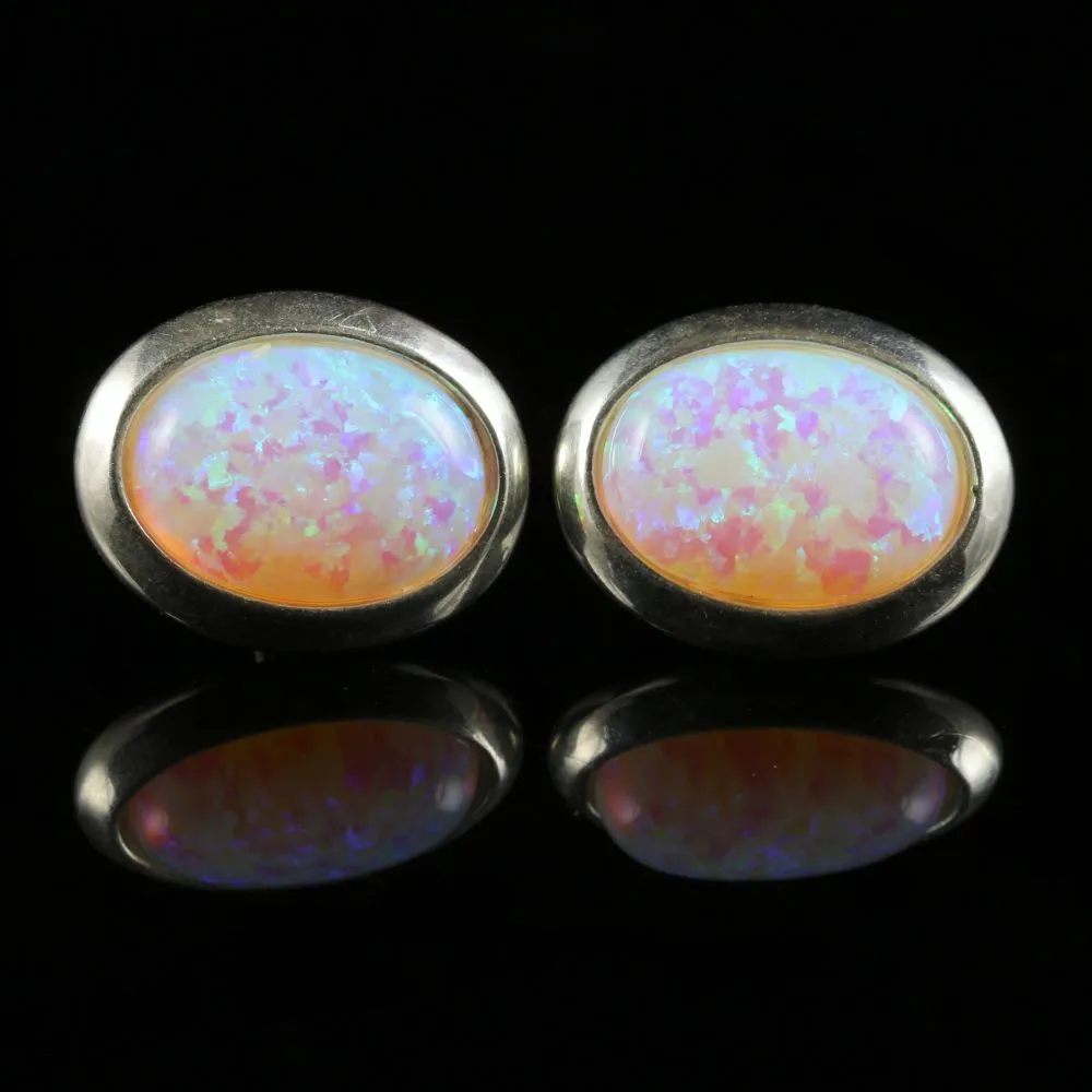 Large Opal Silver Stud Earrings 12Ct