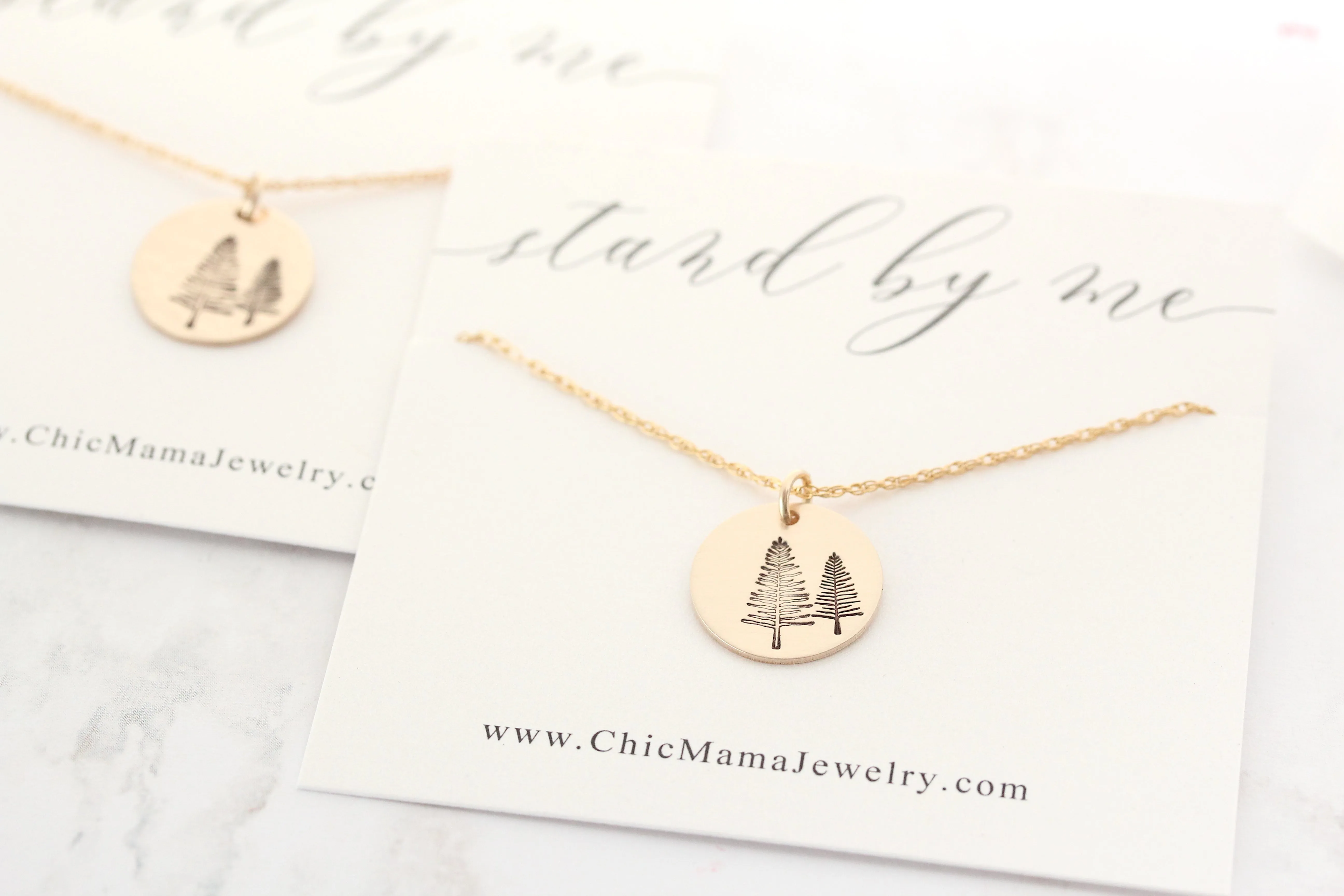 stand by me necklace {silver & gold}