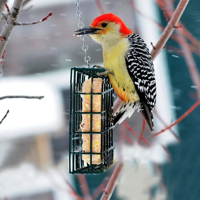 Suet Cake Basket